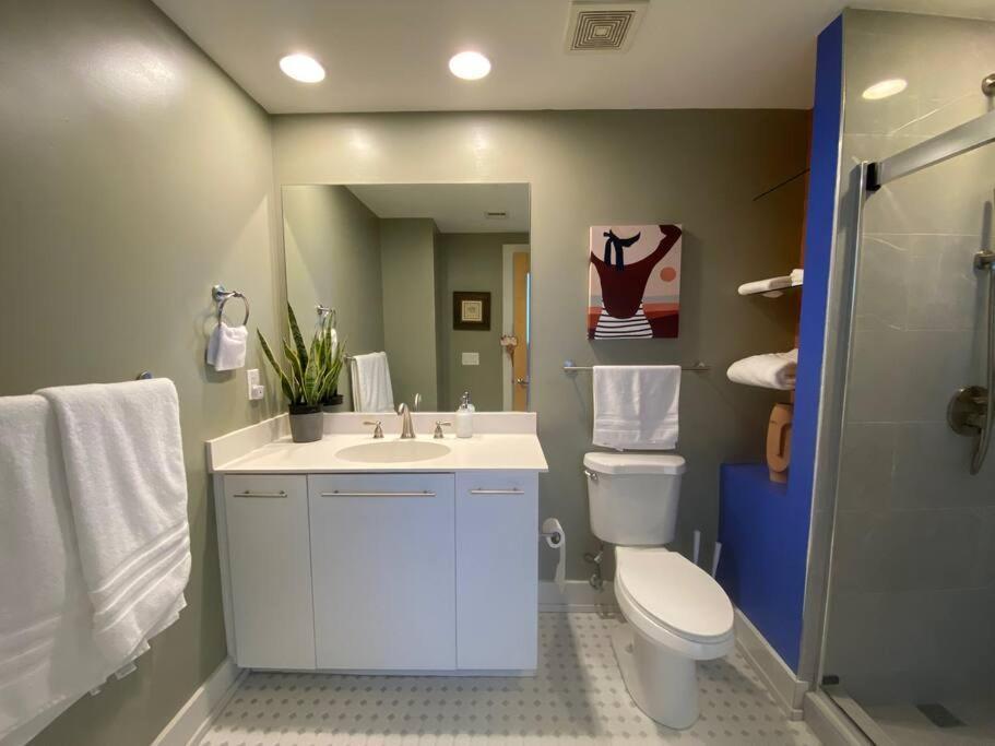 דה מוין Designer Downtown Condo Suite - Splendid View מראה חיצוני תמונה